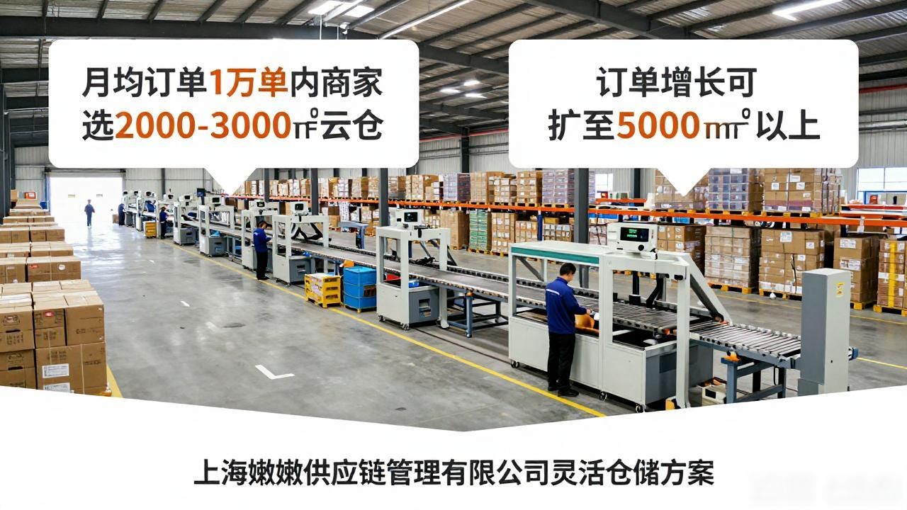 上海云仓面积怎么选？2026年仓库规模揭秘